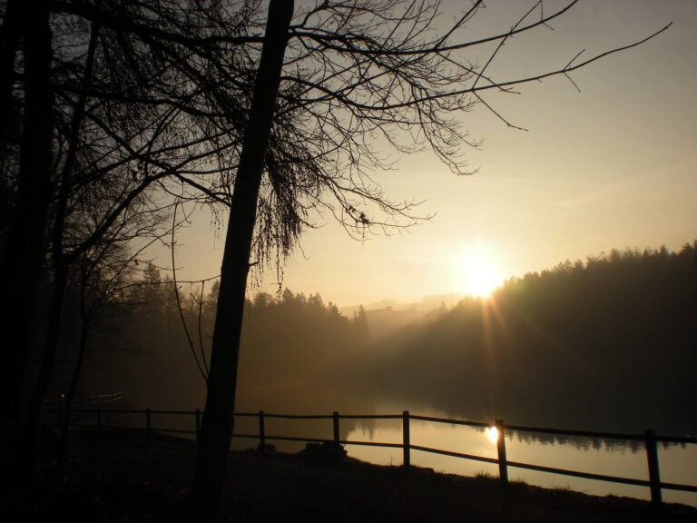 301772626 470504988431677 4824789912606247847 n 300x300